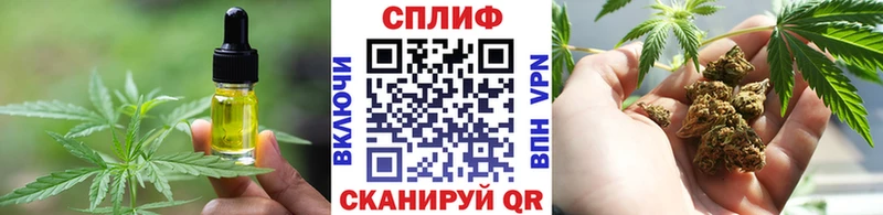 Купить закладки  Снежногорск  Cannafood конопля 
