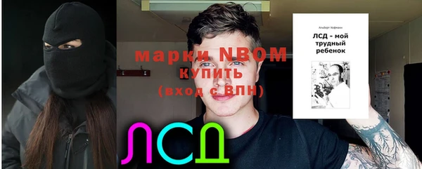 ПСИЛОЦИБИНОВЫЕ ГРИБЫ Магас