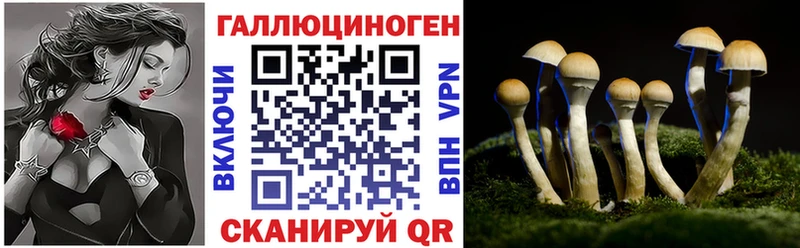 Купить где  Снежногорск  Псилоцибиновые грибы ЛСД 