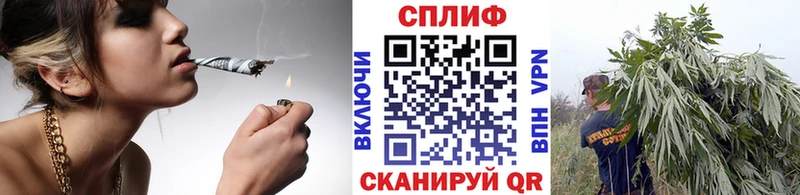 Купить закладки  Снежногорск  Конопля конопля 